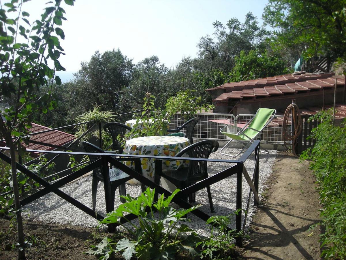 B&B L'Arcobaleno Σορέντο Εξωτερικό φωτογραφία