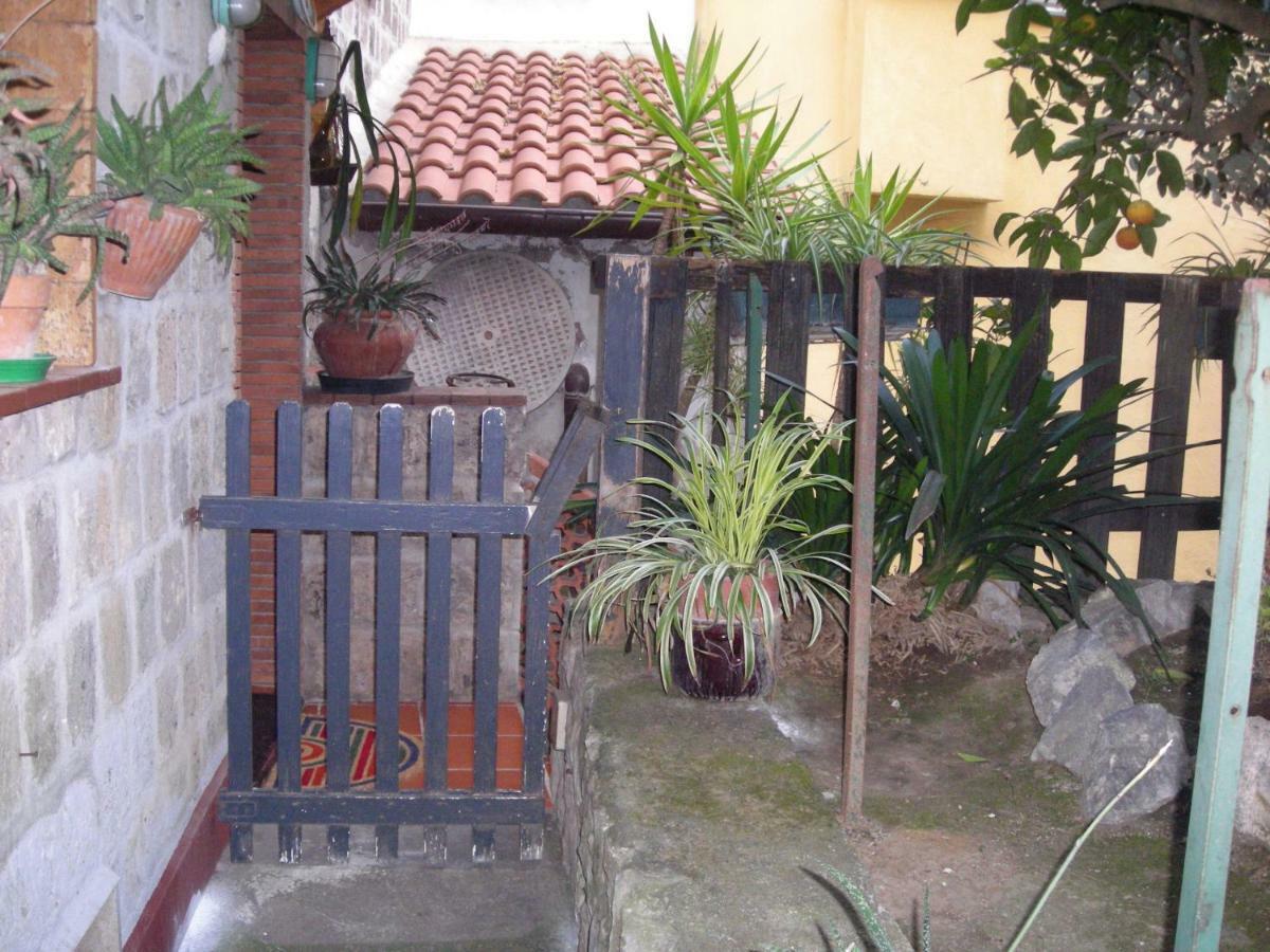 B&B L'Arcobaleno Σορέντο Εξωτερικό φωτογραφία