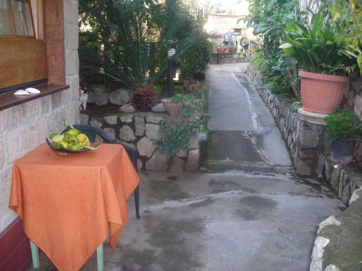 B&B L'Arcobaleno Σορέντο Εξωτερικό φωτογραφία