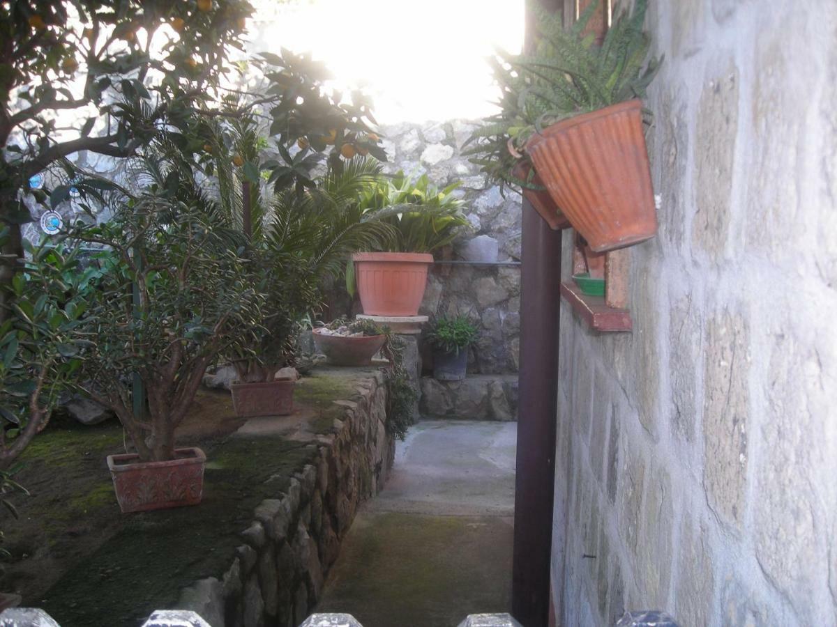 B&B L'Arcobaleno Σορέντο Εξωτερικό φωτογραφία