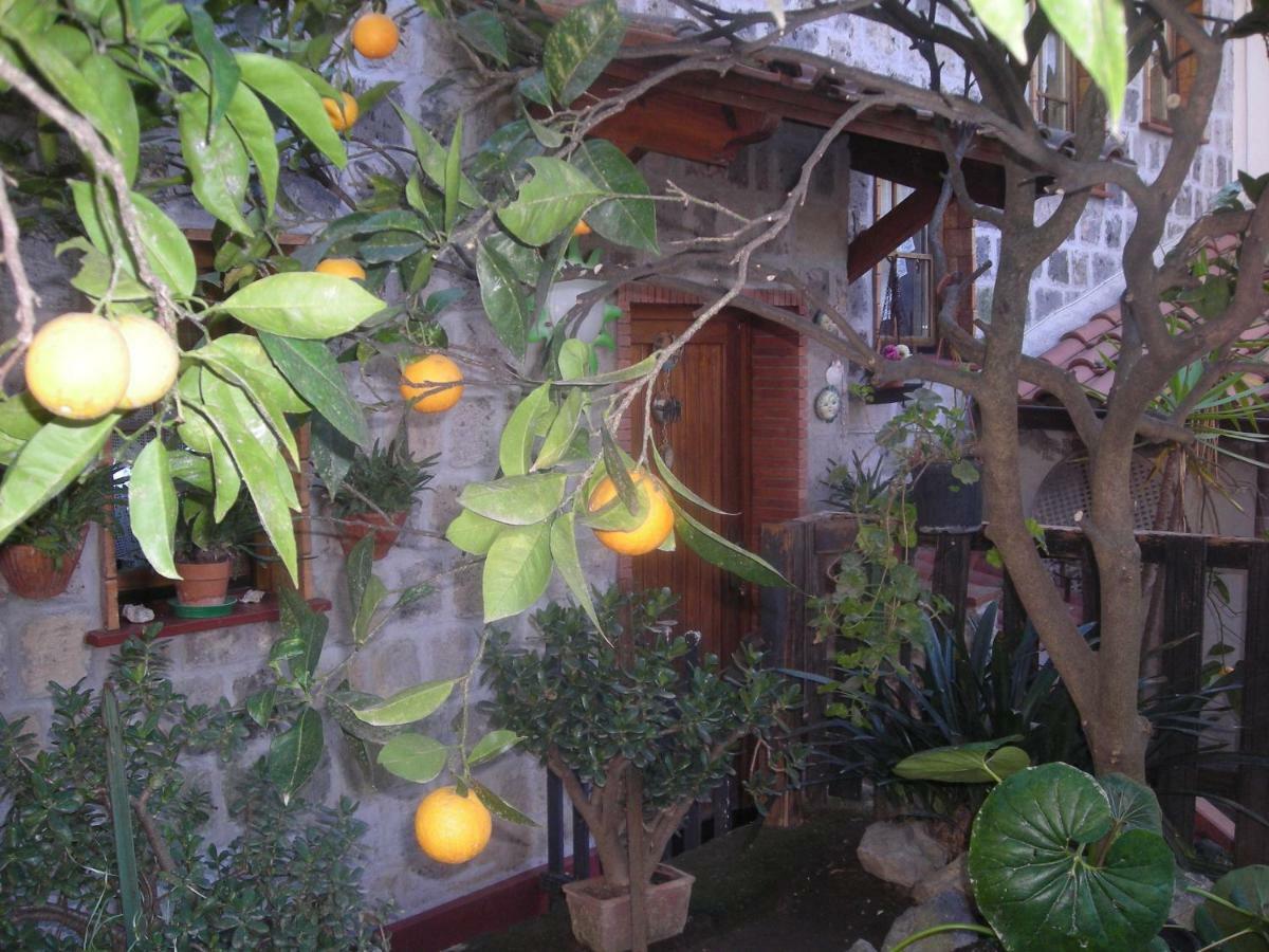 B&B L'Arcobaleno Σορέντο Εξωτερικό φωτογραφία