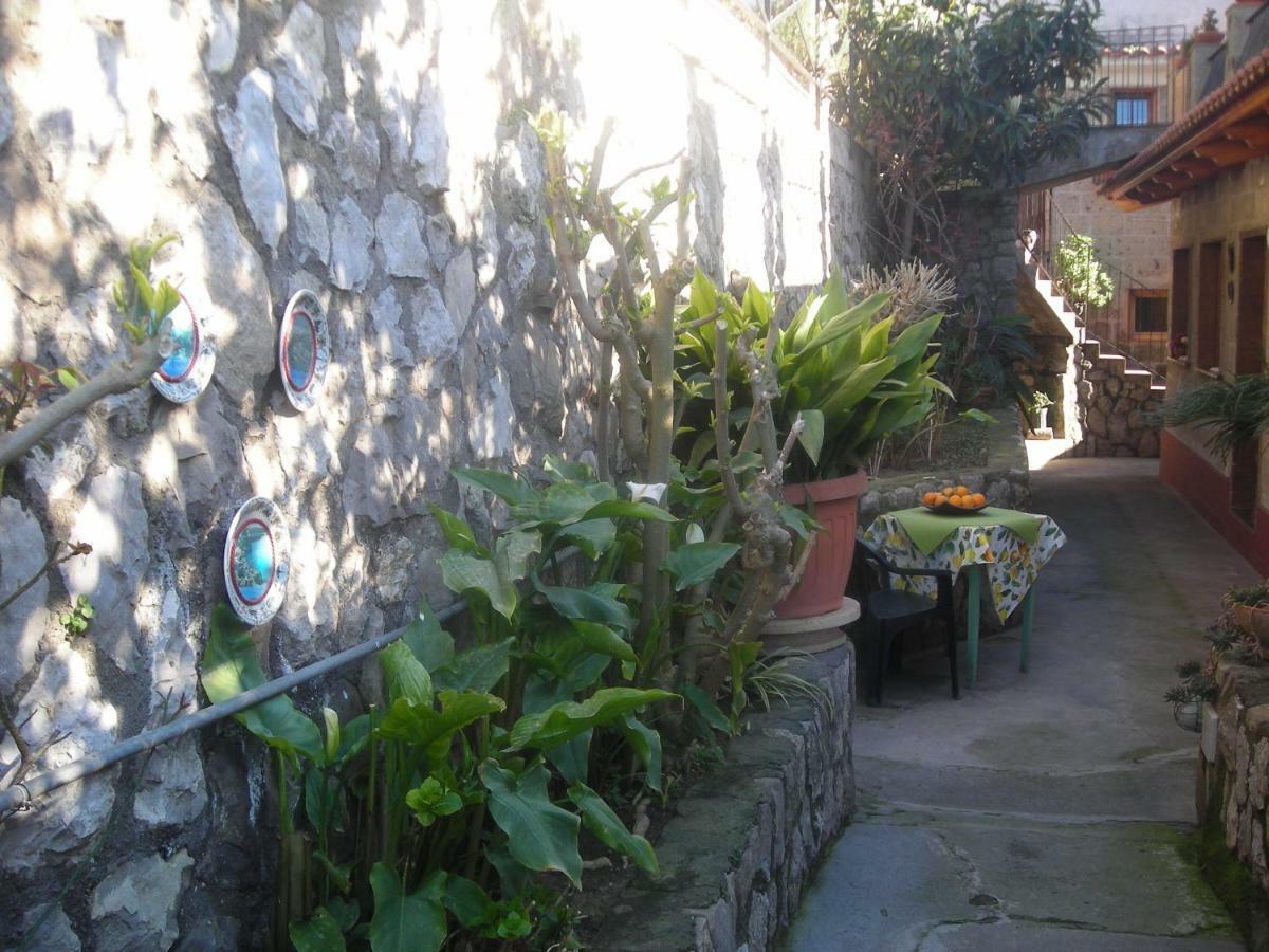 B&B L'Arcobaleno Σορέντο Εξωτερικό φωτογραφία