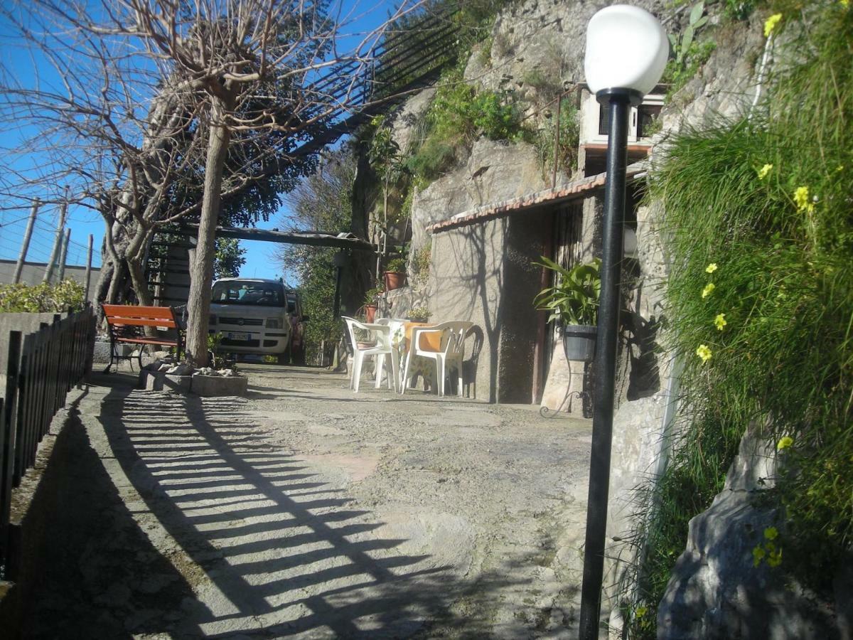 B&B L'Arcobaleno Σορέντο Εξωτερικό φωτογραφία