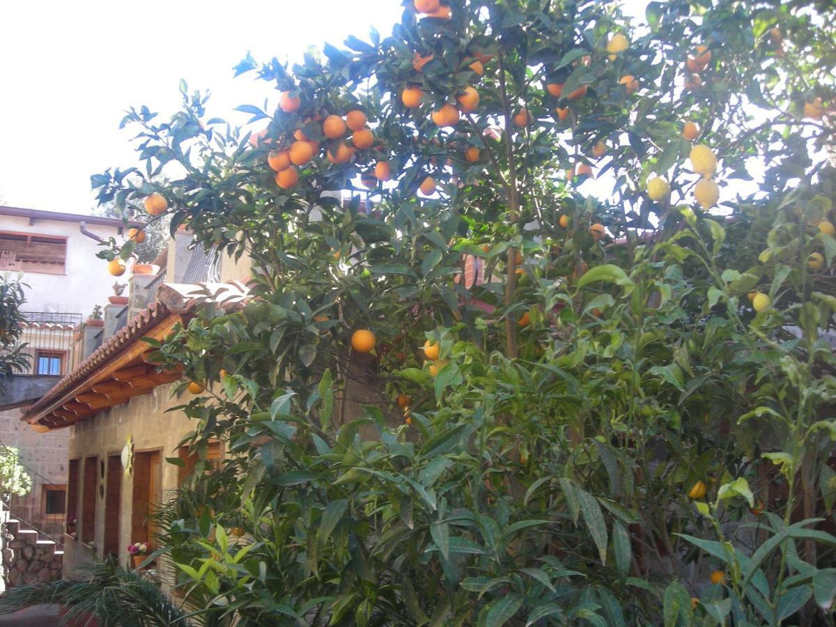 B&B L'Arcobaleno Σορέντο Εξωτερικό φωτογραφία