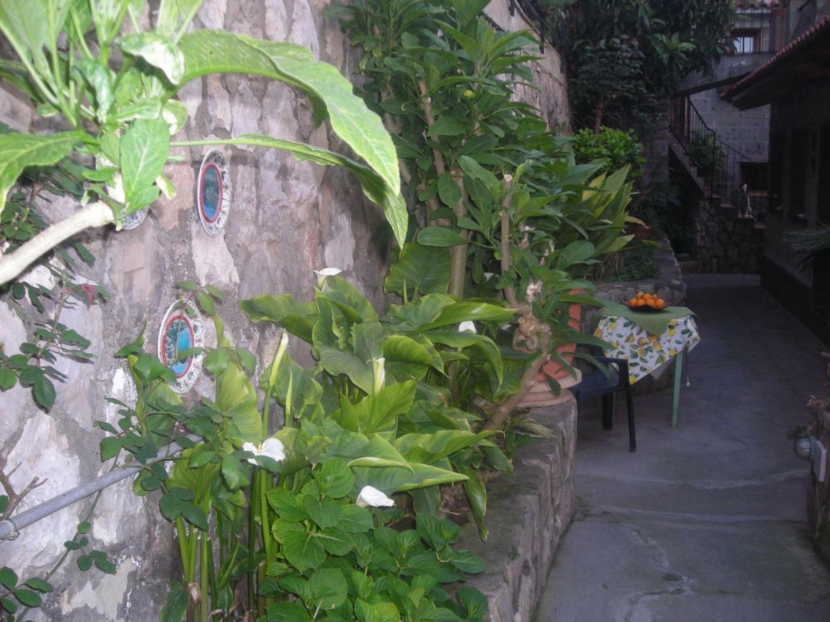 B&B L'Arcobaleno Σορέντο Εξωτερικό φωτογραφία