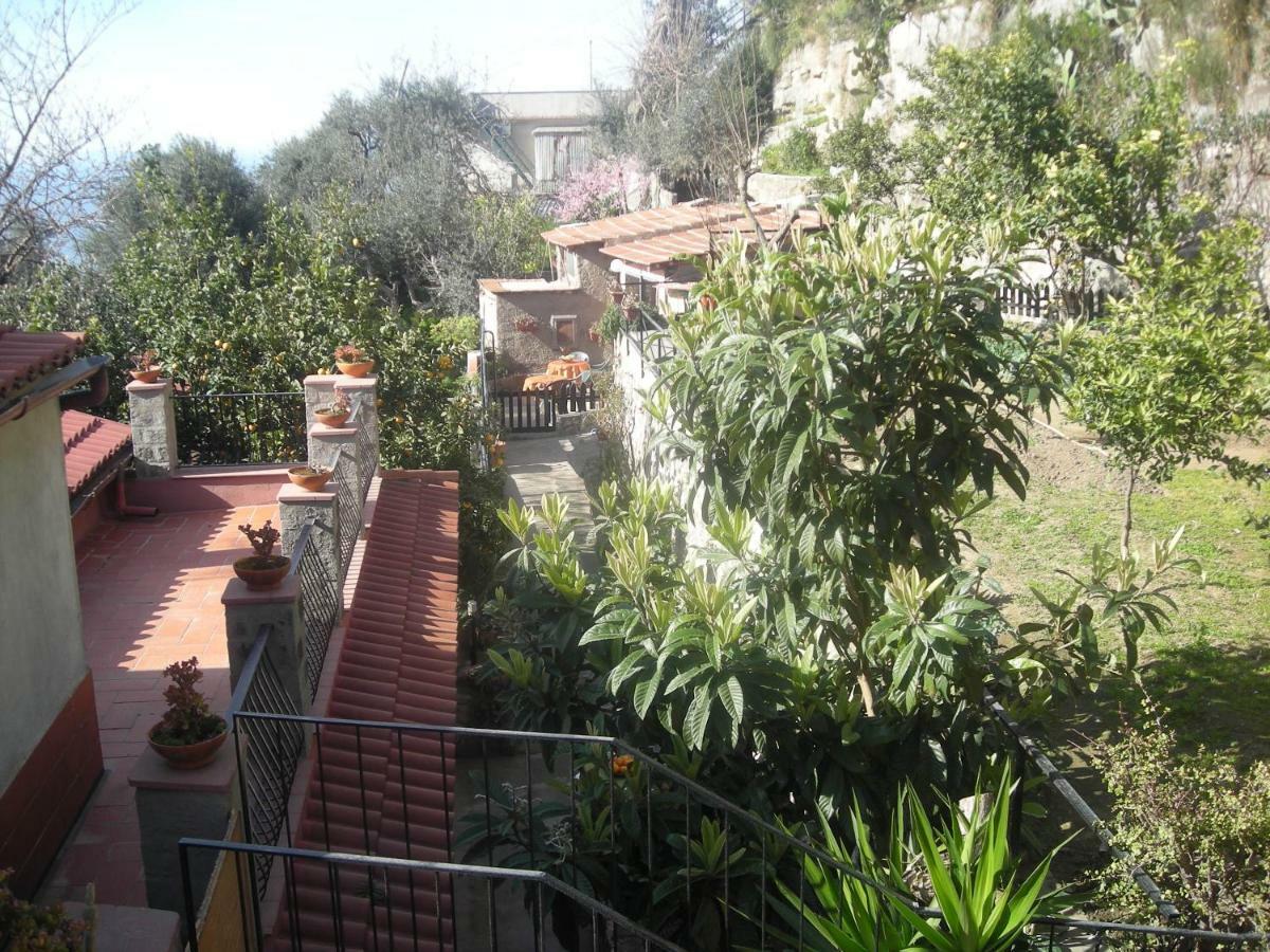 B&B L'Arcobaleno Σορέντο Εξωτερικό φωτογραφία